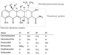 TetracyclineはPAMPAを透過するか？
