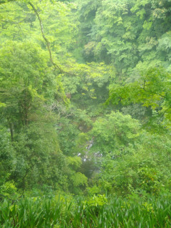 パワースポット