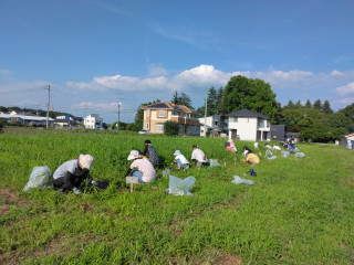 第二回美化活動