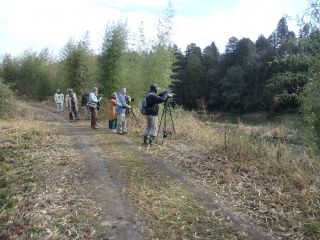 郷原自然観察会