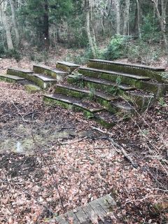 灰ヶ峰公園を楽しむ会