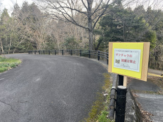 ギフチョウの個体数調査