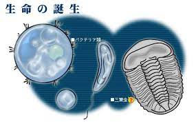 良いニュース10