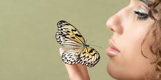 良いニュース14