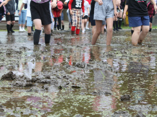 【5年生】田植えをしました！