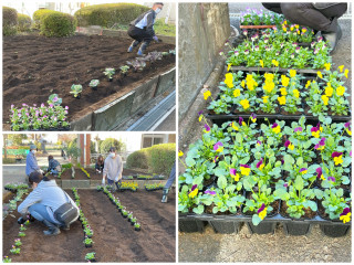 花壇整備が行われました