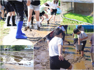 ５年生の稲作体験が始まりました