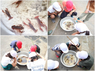 ２年生の釣り体験が行われました