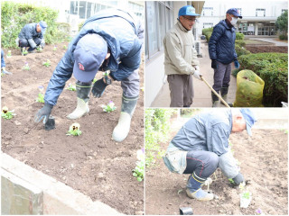 花壇整備が行われました