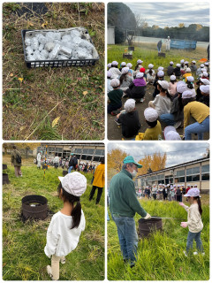 1年生　焼芋パーティー