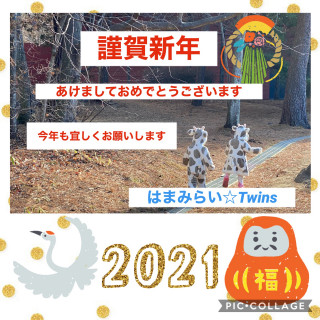 2021年も宜しくお願いします❣️