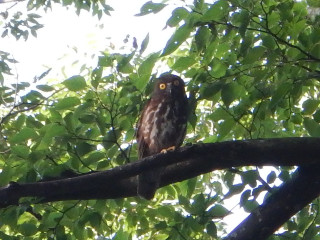 【城址公園】日陰Ｒｕｎ