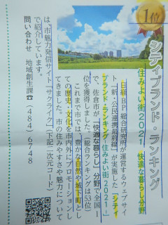 【雲海と紅葉🍁と】