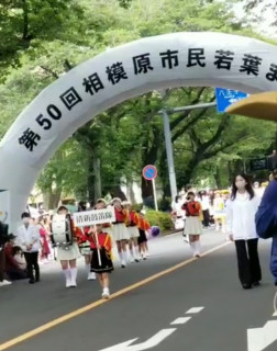 若葉まつりパレード出演