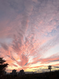 体育館練習でした。