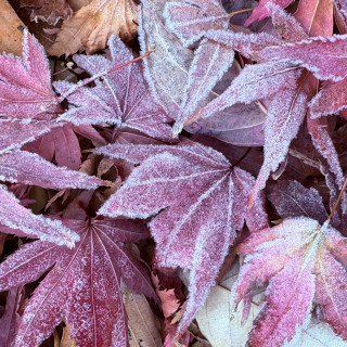 自分のテーマを持って練習しました