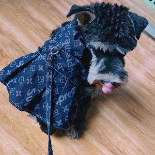 ルイヴィトン ペット服＆リード セットとNike犬猫ジャケットと シャネル犬ニット服