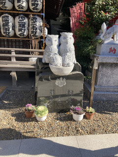 第40回 初詣＆ガチ中華の回