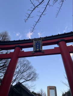 第72回 初詣ともんじゃの回