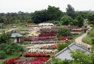 安全講習会後にビュッフェランチとバラ園へポタリング