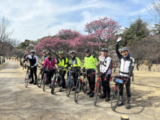総会後に行く観梅サイクリング