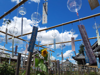 橿原おふさ観音の風鈴まつりとかき氷サイクリング