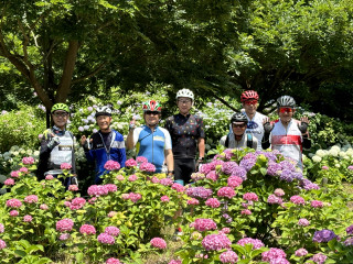 とんぼ池公園の「アジサイ園」へ行くサイクリング