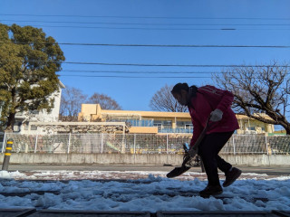 アベックココ開催