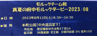 真夏の府中モルックダービー2023年8月