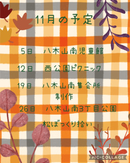 11月の予定🍁