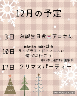 12月の予定⛄️