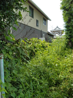 駐車場脇のフェンスの除草作業を行いました