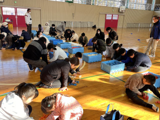 ドミノ大作戦！大成功！