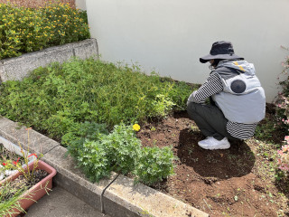 9月24日の活動報告：花壇の整備とベルマーク