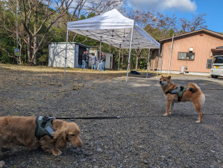 防災倉庫の点検とテント点検