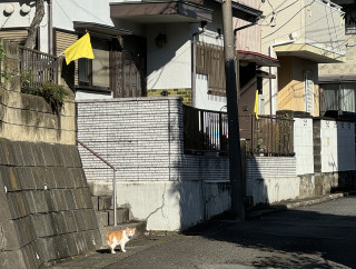 令和６年度_小園自治会地区合同自主防災訓練