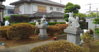 🌺御花稲荷神社境内のつつじ剪定終了