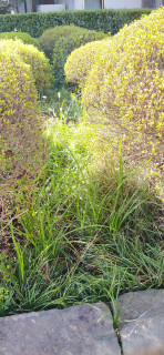 一ヶ月ぶりの会館清掃