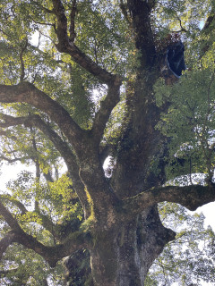 1月23日(火)デモ①について