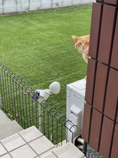 第2回デモンストレーション無事終わりました