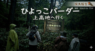 【上高地探鳥記】ひよっこバーダー5人旅！憧れのコマドリと“全天候”の森を駆ける4日間