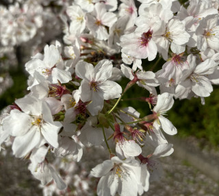 パワー💪‼️‼️‼️