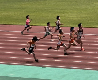 チャレンジカップ写真集②