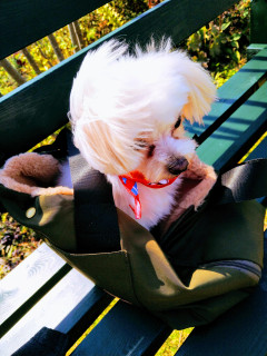 「気仙沼の掲示板」開始に寄せて