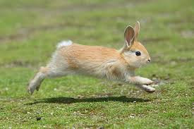 アセスメント10