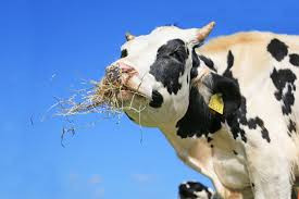 アセスメント27