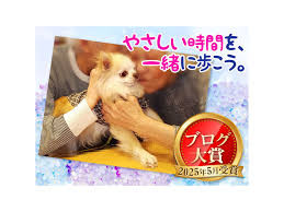 モニタリング11