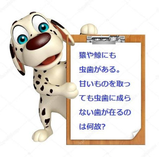 甘いものを取っても虫歯に成らない歯が在るのは何故?