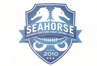 上海双龍キッズラグビークラブ/双龍タッチラグビークラブ　SEAHORSES