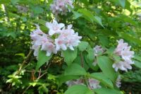 「一般社団法人鍼灸マッサージ師会」保険治療